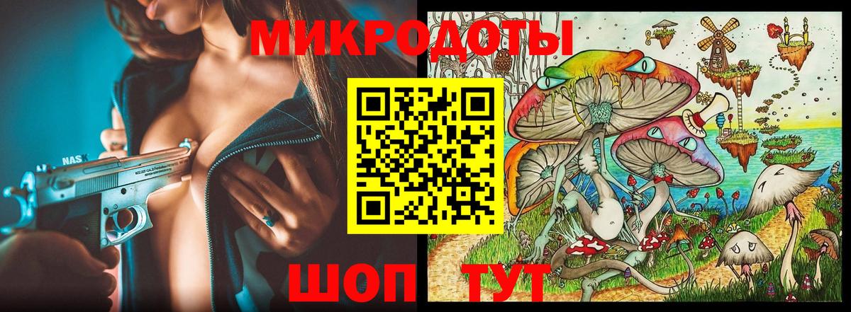 Псилоцибиновые грибы Cubensis Моздок