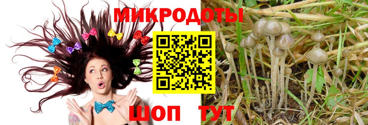Псилоцибиновые грибы Cubensis  Вход с VPN  Моздок  купить   Псилоцибиновые грибы Psilocybe 